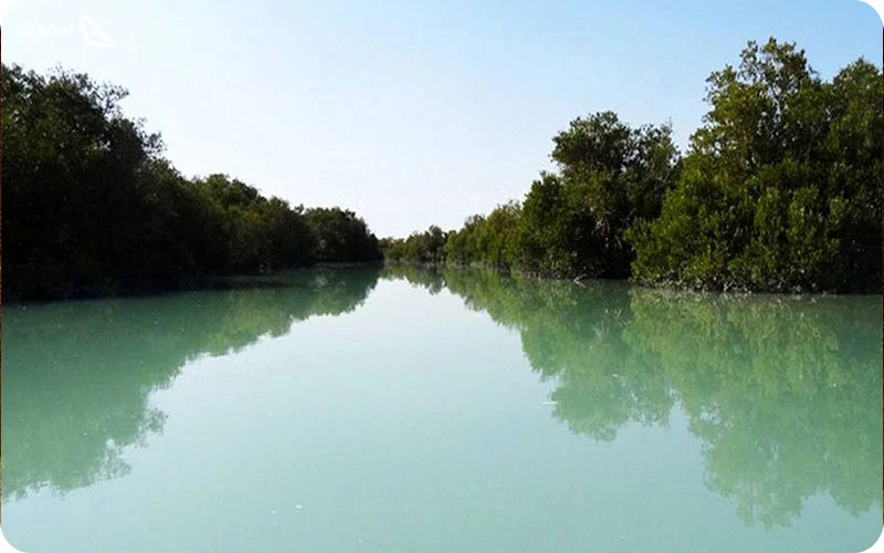 تالاب حله تالاب حله؛ پوشش گیاهی خاص